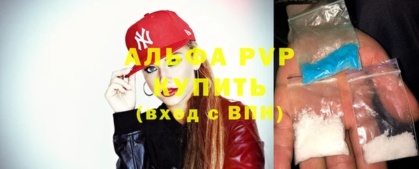 ГАЛЛЮЦИНОГЕННЫЕ ГРИБЫ Вязьма