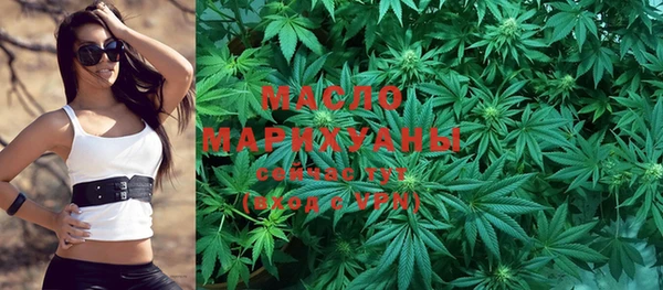 сатива Вяземский