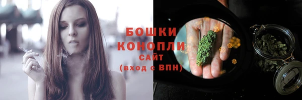 сатива Вяземский