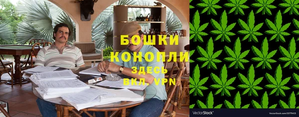 ГАЛЛЮЦИНОГЕННЫЕ ГРИБЫ Вязьма