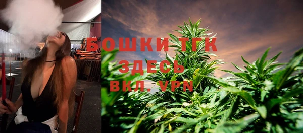 ГАЛЛЮЦИНОГЕННЫЕ ГРИБЫ Вязьма