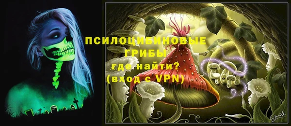 ГАЛЛЮЦИНОГЕННЫЕ ГРИБЫ Вязьма