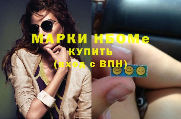 сатива Вяземский