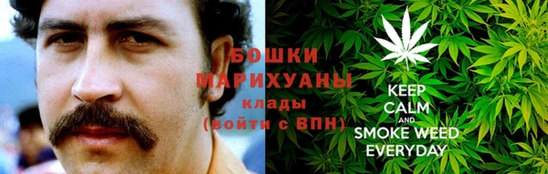 ГАЛЛЮЦИНОГЕННЫЕ ГРИБЫ Вязьма