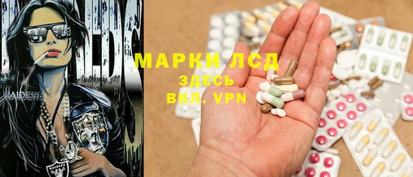 ГАЛЛЮЦИНОГЕННЫЕ ГРИБЫ Вязьма