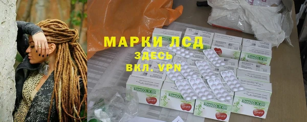 сатива Вяземский