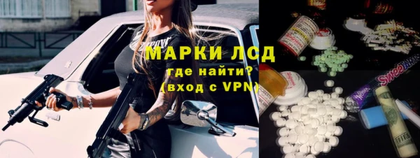 сатива Вяземский