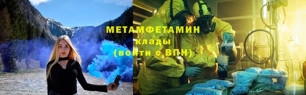 сатива Вяземский