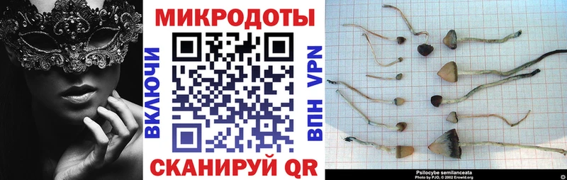 Купить закладки  Кремёнки  Галлюциногенные грибы GOLDEN TEACHER 